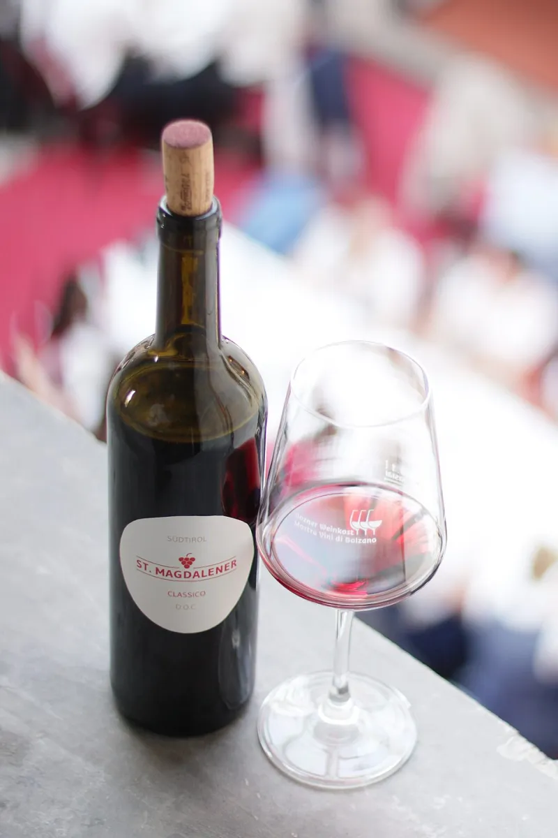 Catar sin miedo: descubre los matices de un Rioja con tus cinco sentidos