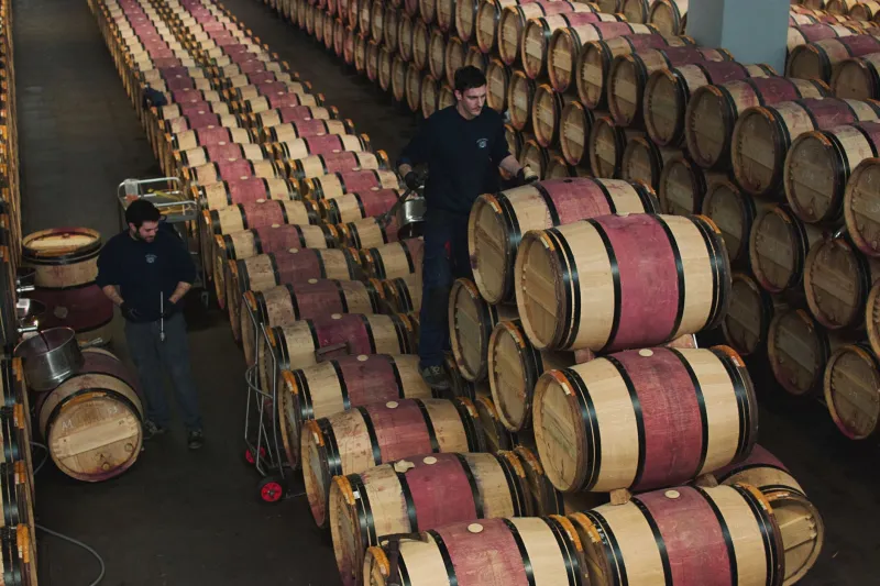 Ellas mandan en la bodega: las enólogas y viticultoras que están cambiando La Rioja desde dentro