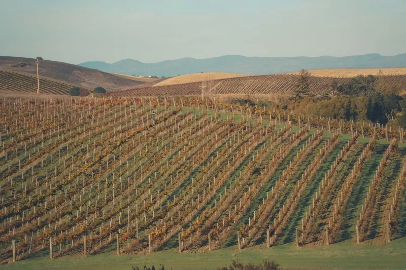 La Rioja con otros ojos: planes de enoturismo que no encontrarás en ninguna guía convencional