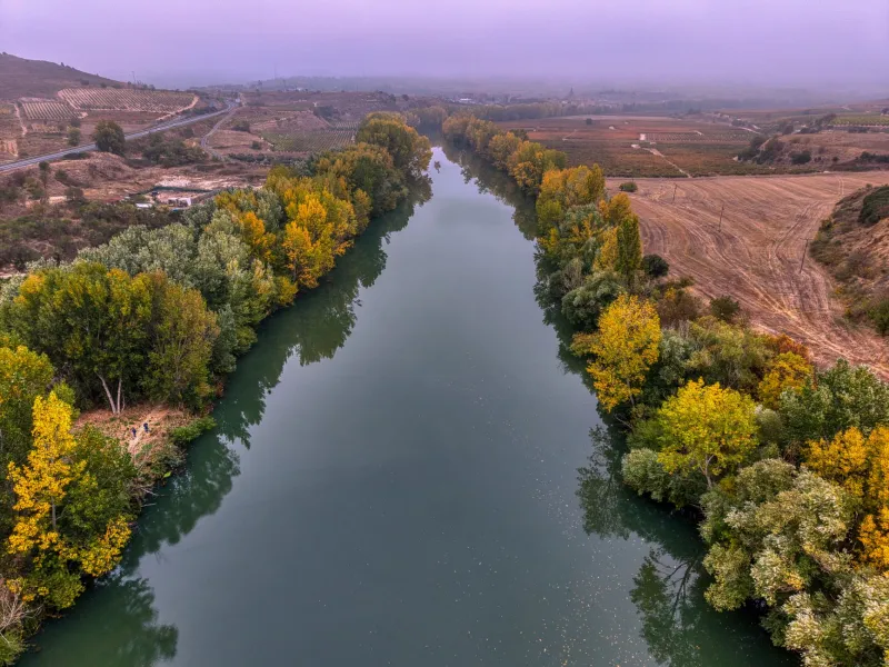 Raíces prestadas: los que vinieron a La Rioja de paso y acabaron plantando viña