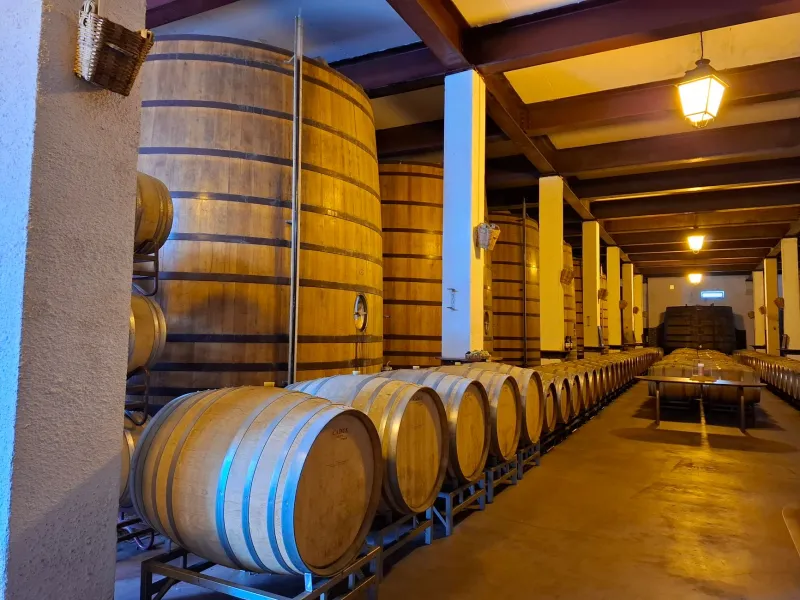 Llegaron de visita y nunca se fueron: los foráneos que convirtieron La Rioja en su casa y su bodega