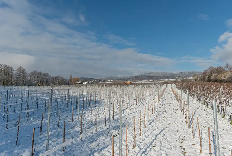 La Rioja en diciembre: por qué el frío es la mejor excusa para visitarla
