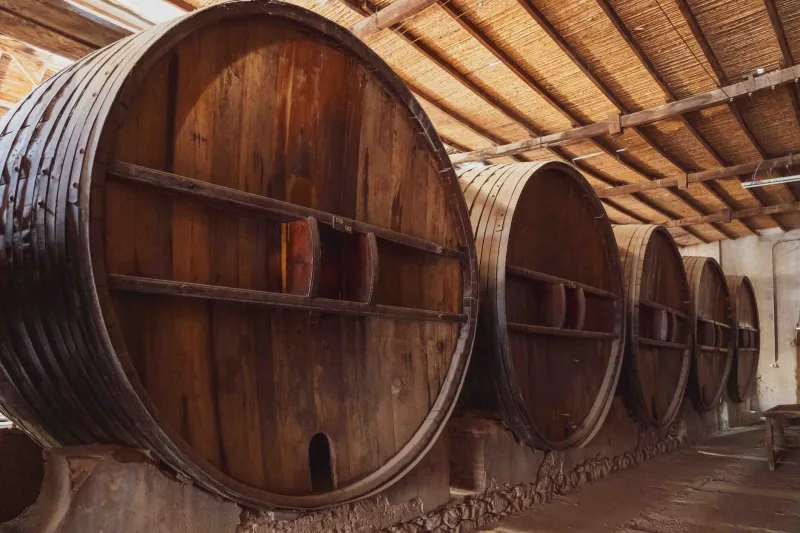 Pueblos que el turismo no encontró: donde el vino riojano sigue siendo cosa de toda la vida